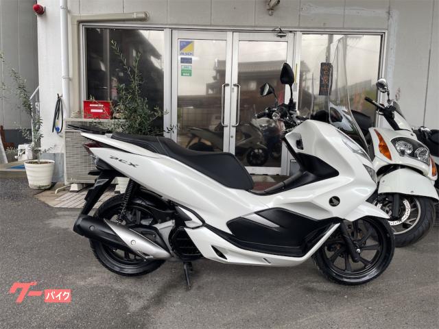 ＰＣＸ　自賠責保険Ｒ９年５月まで付　ロングスクリーン　スマートキー　ＪＦ８１