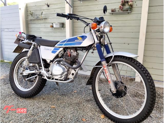 HONDA イーハトーブ TL125 引き取り限定価格 今週のレア車】Vol.174 ホンダ イーハトーブ | 中古バイク・新車の事