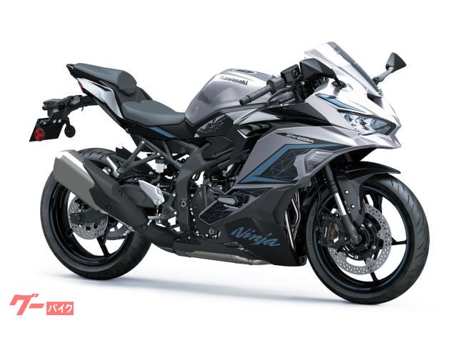 Ｎｉｎｊａ　ＺＸ−２５Ｒ