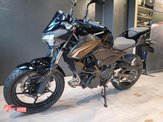 カワサキ Z250 アシストスリッパ－クラッチ ABS｜カワサキ