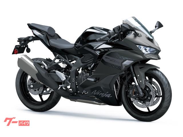 Ｎｉｎｊａ　ＺＸ−４Ｒ　ＳＥ　クイックシフター　トラクションコントロール　ＵＳＢ　フレームスライダー　スモークウインドシールド