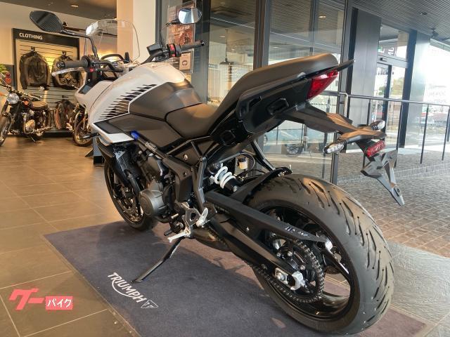 タイガースポーツ660 スノードニアホワイト