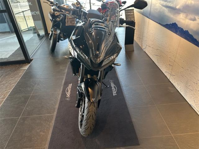 トライアンフ認定中古車SP
