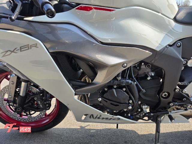 ころ Puig 21767H Z-RACING SCREEN [SMOKE] Kawasaki ZX-4R Ninja (24