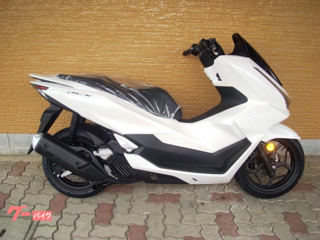 ＰＣＸ　最新モデル　国内正規品　パールスノーフレークホワイト