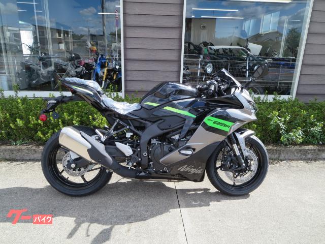 Ｎｉｎｊａ　ＺＸ−２５Ｒ　ＳＥ　２０２６モデル