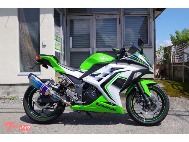 ninja250 winter edition - カワサキ