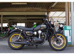 カワサキ　Ｗ８００　フューエルインジェクション　４ストローク　ＥＪ８００Ａ