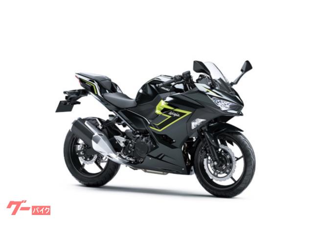 Ｎｉｎｊａ　２５０