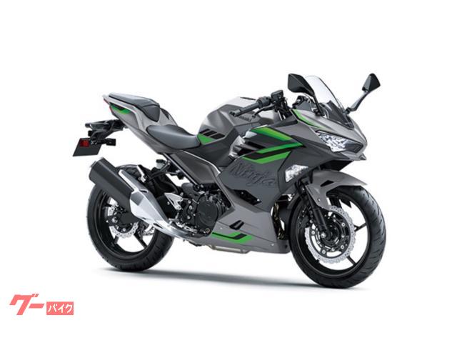 Ｎｉｎｊａ　４００