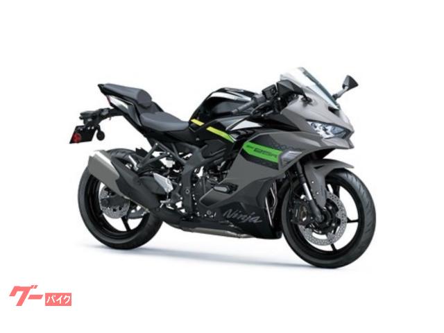 Ｎｉｎｊａ　ＺＸ−２５Ｒ　ＳＥ