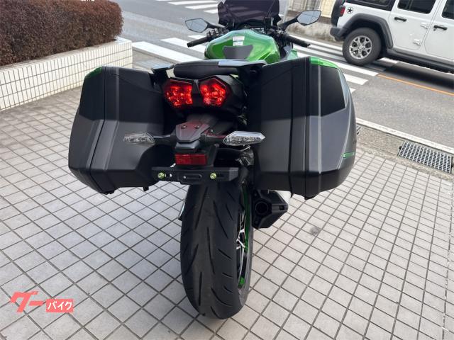 Kawasaki Ninja H2 SX SE — миниатюра 6