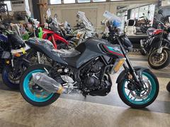 ヤマハ　ＭＴ−２５