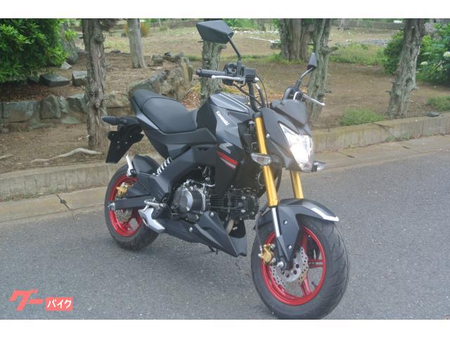 Ｚ１２５ＰＲＯ