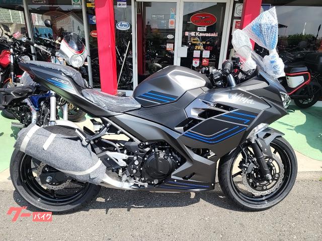 Ｎｉｎｊａ　４００