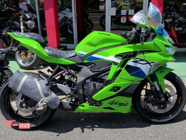Ｎｉｎｊａ　ＺＸ－２５ＲＲ