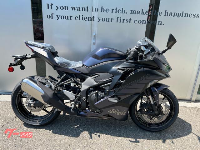 Ｎｉｎｊａ　ＺＸ−２５Ｒ　ＳＥ