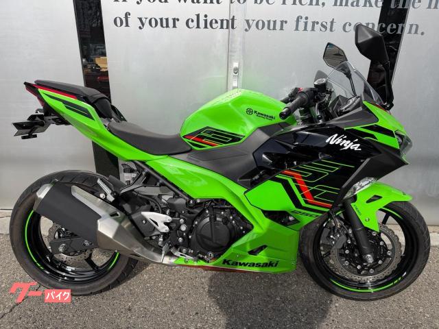 Ninja 250