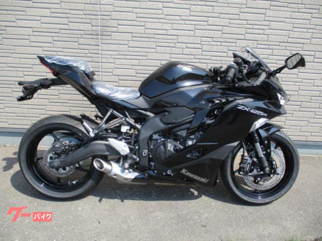 Ｎｉｎｊａ　ＺＸ−２５Ｒ　ＵＳＢ電源ソケット付