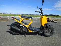 ホンダ　ズーマー