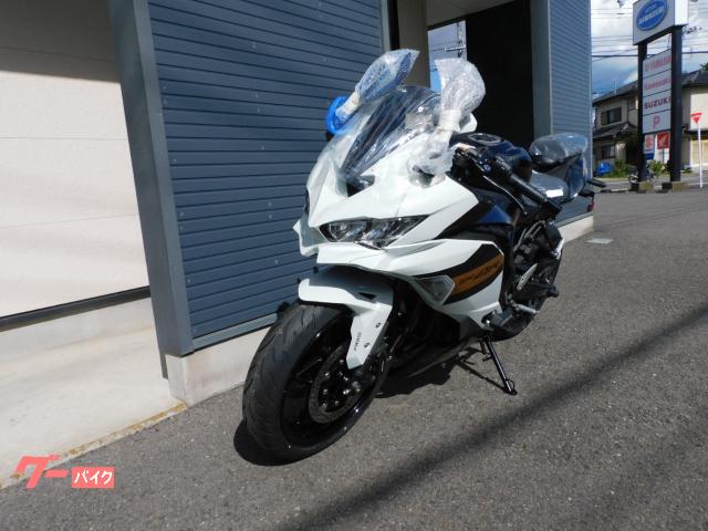 専用⑧ 端渓 National Park Foundation x adidas ZX 5000