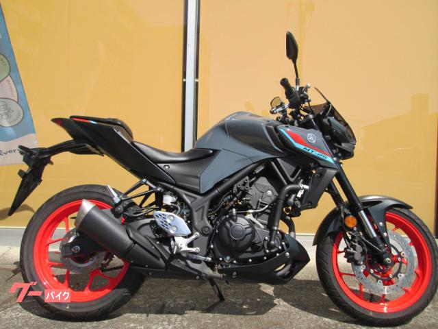 ＭＴ−２５