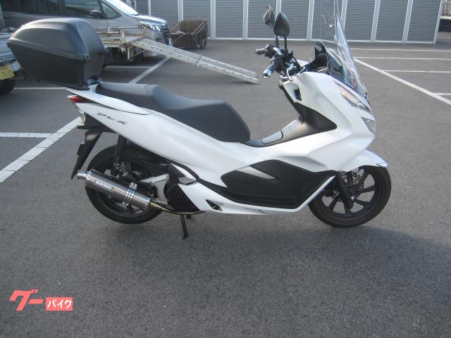 ＰＣＸ　ＪＦ８１