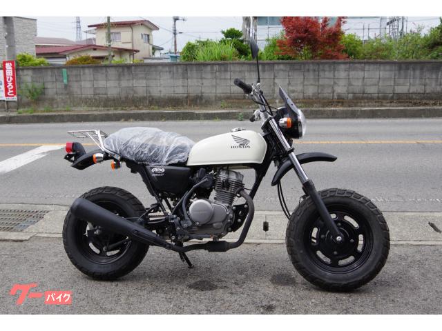 ホンダ エイプ 250 登録済み 高速道路ＯＫ - ホンダ