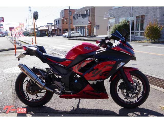 Ｎｉｎｊａ　２５０　ＡＢＳ　フューエルインジェクション　４ストローク　ＥＸ２５０Ｌ