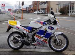ホンダ　ＮＳ−１　キャブモデル　２ストローク　ロスマンズ