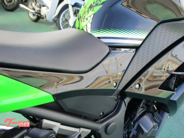カワサキ Ninja 250 ETC GIVIサイドケース SP