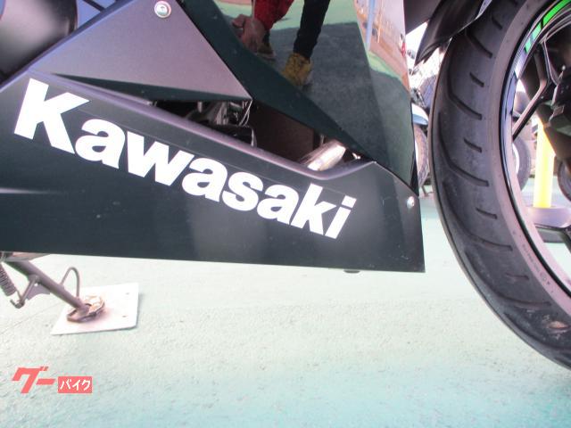 カワサキ Ninja 250 ETC GIVIサイドケース SP