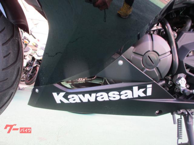 カワサキ Ninja 250 ETC GIVIサイドケース SP