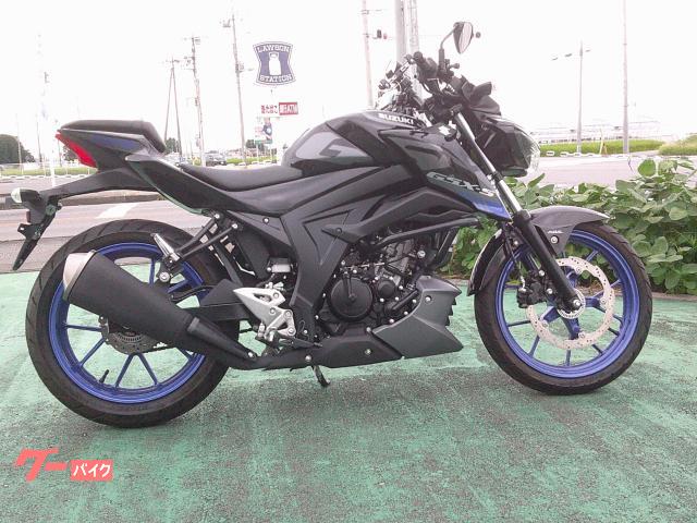 ＧＳＸ−Ｓ１２５　Ｍ３型　メタルギヤローダウンキット付き　タイタンブラック　エンデュランスエンジンガード付き