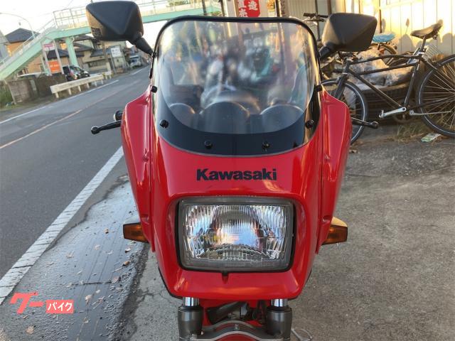 カワサキKR250燃料タンク中古へこみサビありキ-無し，下の穴