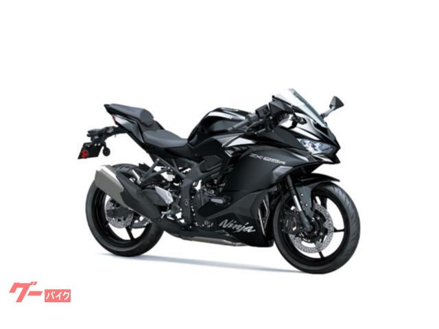 Ｎｉｎｊａ　ＺＸ−２５Ｒ　ＳＥ