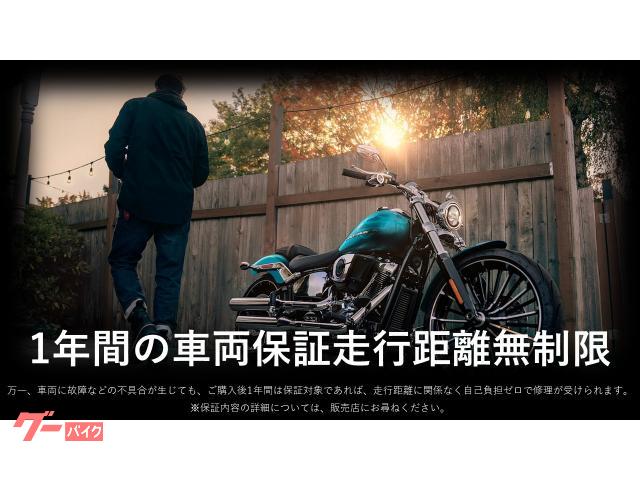 HARLEY－DAVIDSON FXBR ソフテイル ブレイクアウト