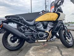 ＨＡＲＬＥＹ−ＤＡＶＩＤＳＯＮ　パンアメリカ１２５０スペシャル