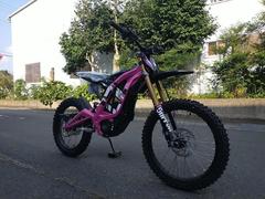 ＳＵＲＲＯＮ　Ｌｉｇｈｔ　Ｂｅｅ　Ｘ