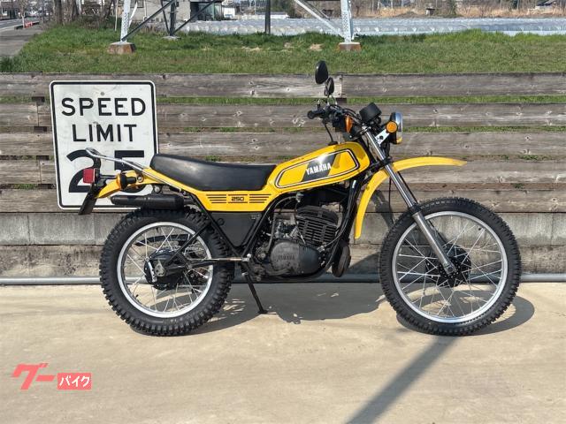 ＤＴ２５０