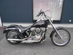 ＨＡＲＬＥＹ−ＤＡＶＩＤＳＯＮ　ＦＸＳＴ　ソフテイルスタンダード　ＴＣ８８