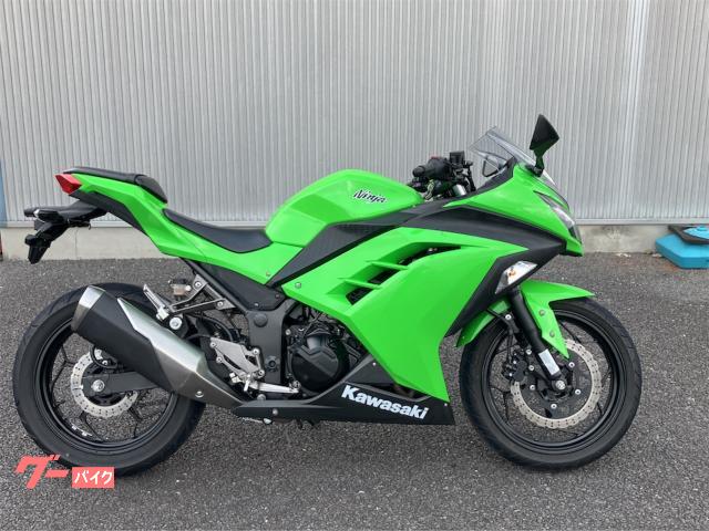 Ｎｉｎｊａ　２５０　ＥＸ２５０Ｌ　ライムグリーン