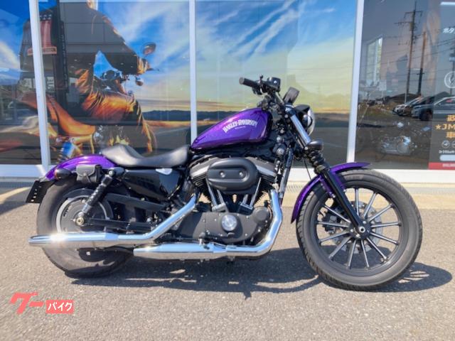 ＸＬ８８３Ｎ　アイアン　　キャンデーフレークカスタム　パープル