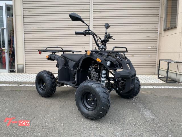 バギーATV◇去年夏に新品購入しました。 - 鹿児島県のバイク