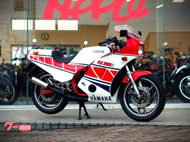 ヤマハ ＲＺ２５０ＲＲ 社外シングルシート｜アップル宇都宮新４号店｜新車・中古バイクなら【グーバイク】