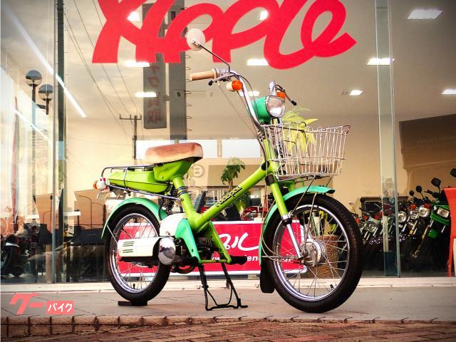 ロードパル　ノーマル