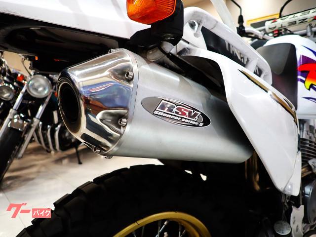 ヤマハ TT250R Raid RSVシリーズ3マフラー付き