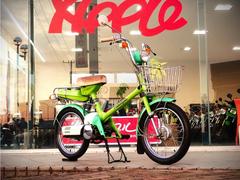 ホンダ　ロードパル　ノーマル