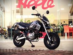 カワサキ　ＫＳＲ１１０　タケガワマニュアルクラッチ＆マルチメーター　ＯＶＥＲセンターマフラー他