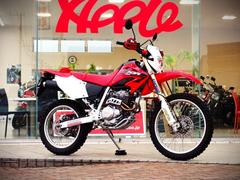 グーバイク】栃木県・キャブのバイク検索結果一覧(1～30件)